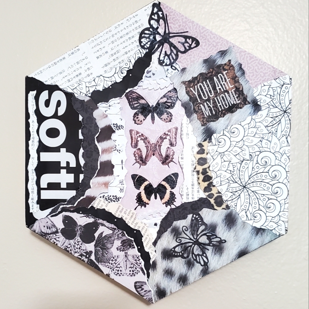 🙏 HAND CRAFTED Hexagon wall collage art Butterfly Moth Black white
